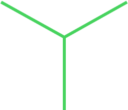 Vector