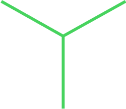Vector