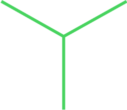 Vector