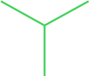 Vector